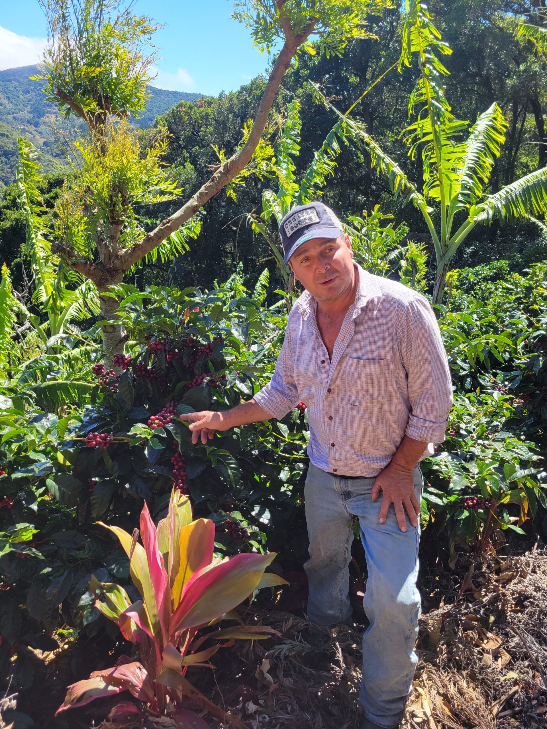 Take Me Home - Costa Rica - Image 3