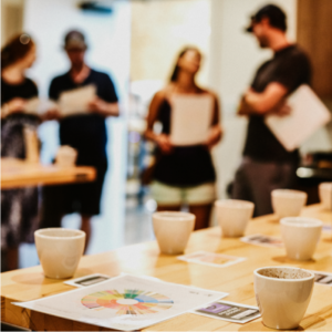 Private Group Cupping
