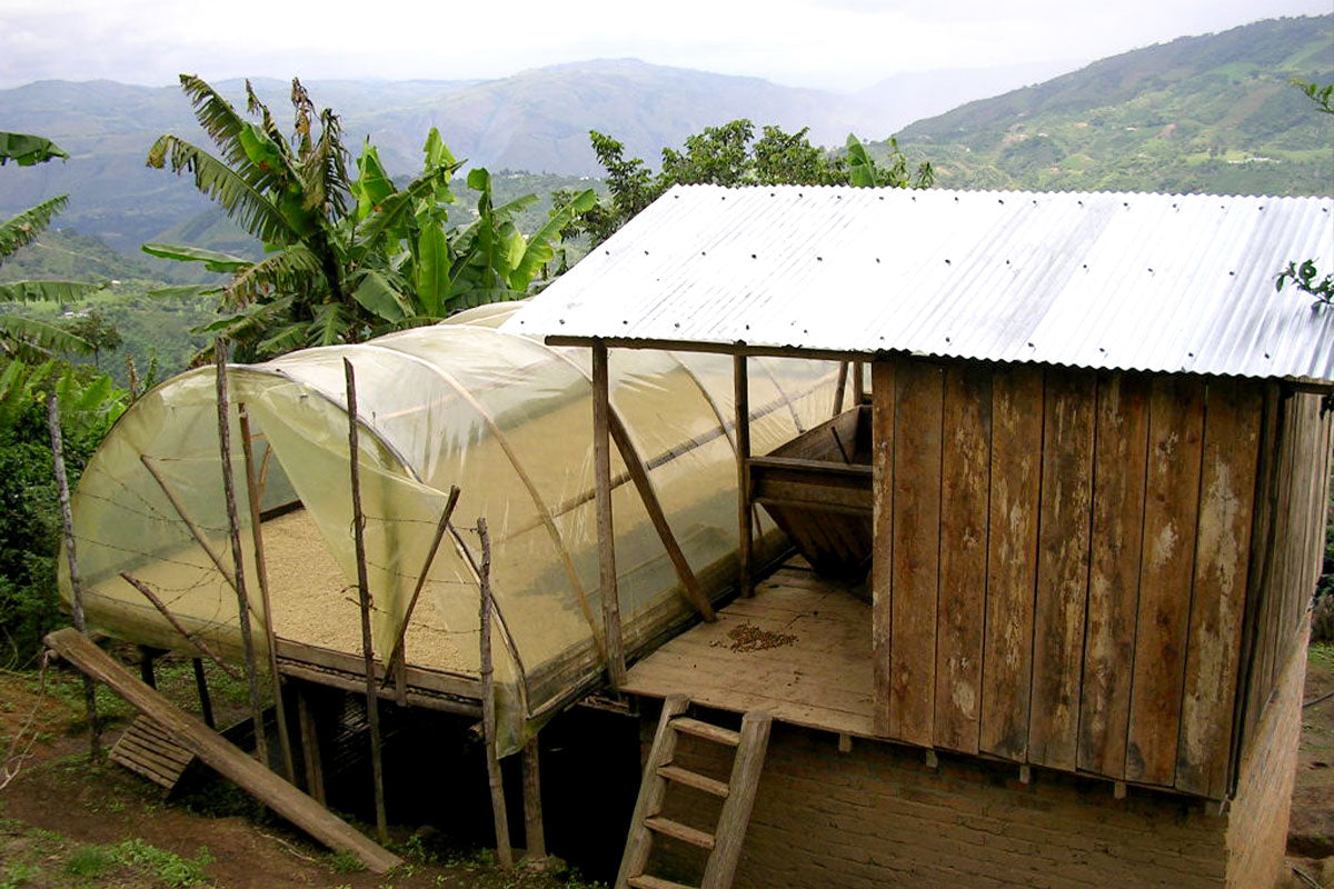Bright Minds - Colombia - Image 4