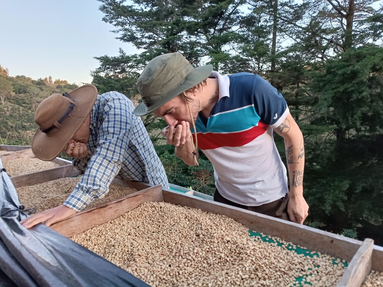 Santa Rosa 1900 - Costa Rica - Image 4
